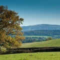 B&B Church Stretton Shropshire